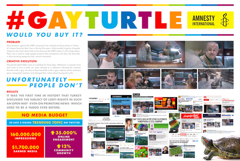 Gay Turtle