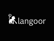 Langoor Expands Its Digital Presence In UAE