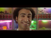 Orange Egypt Ranks 3rd In Cannes YouTube Ads Global Leaderboard